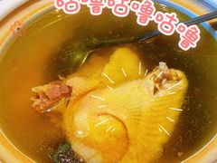 黄山土母鸡汤-徽珍源(龙茗路店)