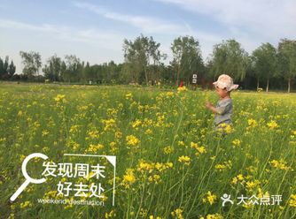 人少，风景好，有木栈道，特别适合举家散步
