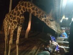 -清迈夜间动物园