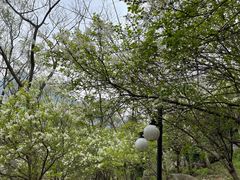 -秦岭终南山世界地质公园翠华山景区