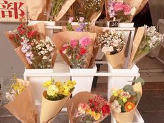 -溪岸路花鸟市场