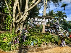 -西双版纳傣族园