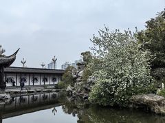 -梅园