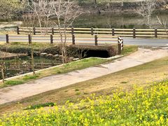 -黄陂区野村谷景区