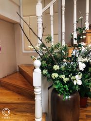 -芳朵美容养生SPA