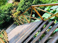 -日照海滨国家森林公园