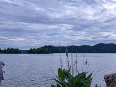 -东湖落雁景区