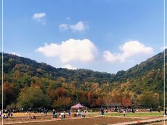 -八卦田遗址公园