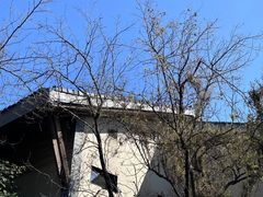 -新荣记(西溪湿地店)