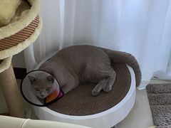 -福州肆爪动物医院