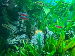 -太平洋海底世界