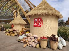 -中国天府农业博览园