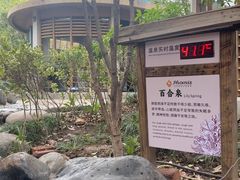 -张家港金凤凰度假村温泉