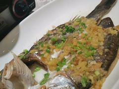 古法蒸边鱼-香云轩·顺德菜(香云纱园林酒店店)