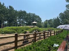 -大连森林动物园