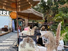 -HERRE·FARM 赫尔露营农场·团建聚会包场