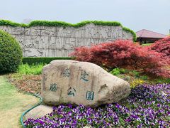 -嘉定紫藤园