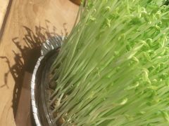 -好彩猪肚鸡(正弘城店)