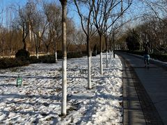 -南翠屏公园