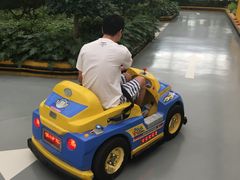 游乐设施-南宫五洲植物乐园