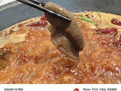 -龙厂长老火锅(抚琴店)
