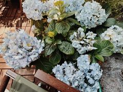-花十悦·鲜花咖啡餐厅(振业城一期店)