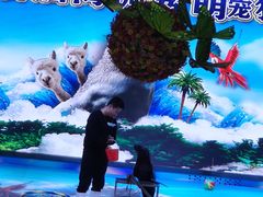 -比尔森韩式烤肉自助(国商店)