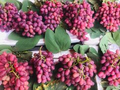 -城南综合水果批发市场(花园路店)
