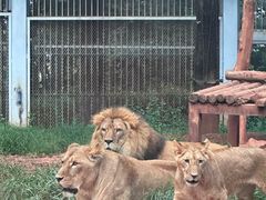 -昆明动物园
