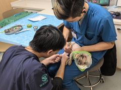 -瑞派·关忠动物医院·猫专科·犬专科(三环新城店)