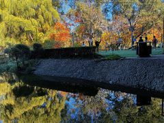 -长白岛森林公园