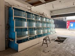 -东方国际水产中心-停车场