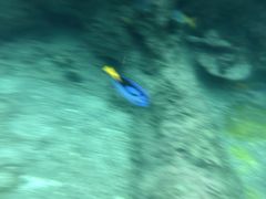 -新加坡水上探险乐园