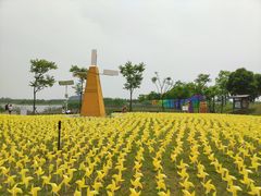 -洪湖湿地生态园