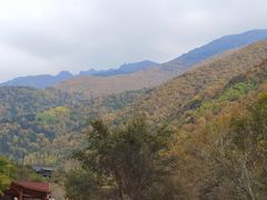 -小五台金河景区