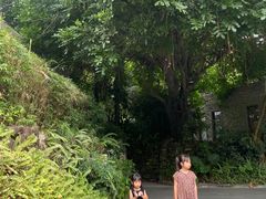 -龙山酒店温泉
