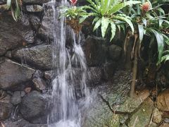 -青青世界
