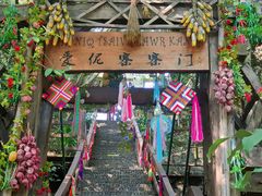 -西双版纳原始森林公园