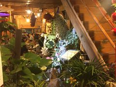 -多哥水傣味餐厅(司马巷店)