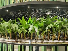 -凤园椰珍·臻品椰子鸡(保利时光里店)
