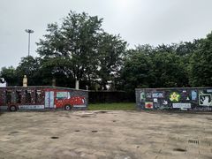 -中国扬子鳄村