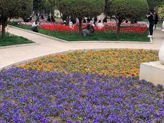 -石家庄市植物园