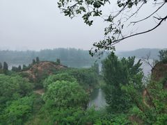 -郑州植物园