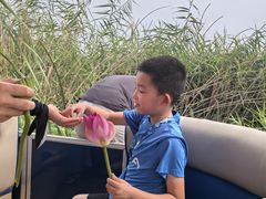 -白洋淀景区