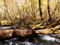 -叠溪松坪沟景区