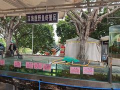 -荔城生鲜盛宴(番禺旗舰店)