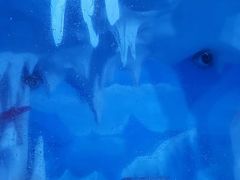 -多彩贵州城极地海洋世界