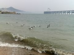 -黑石礁公园
