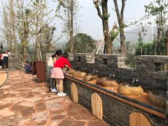 -枫香湖儿童公园