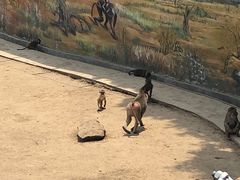 -西安秦岭野生动物园